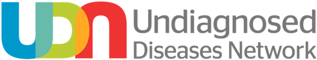 udn_logo.png